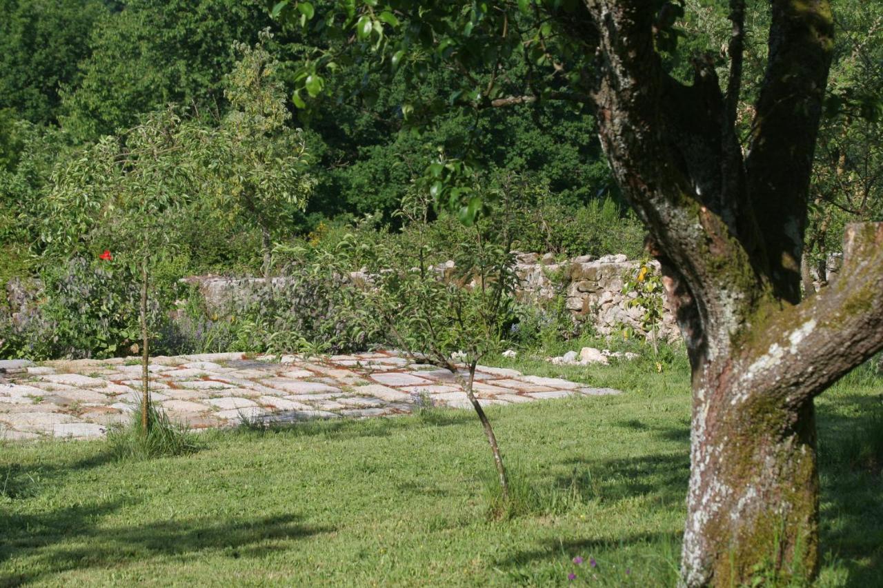 Pazo De Chaioso Ribeira Sacra Maceda Zewnętrze zdjęcie