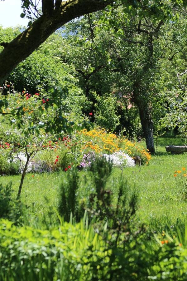 Pazo De Chaioso Ribeira Sacra Maceda Zewnętrze zdjęcie