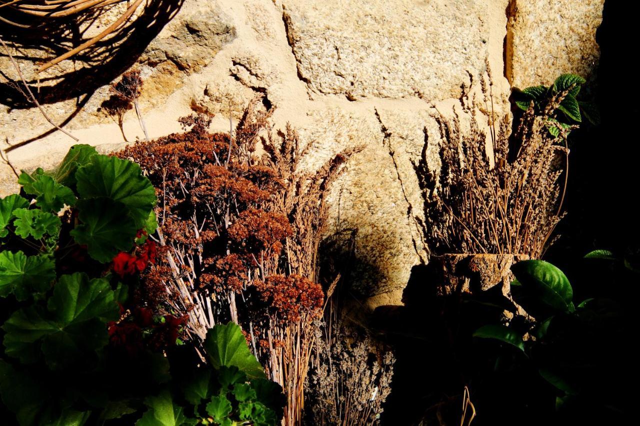 Pazo De Chaioso Ribeira Sacra Maceda Zewnętrze zdjęcie